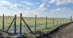 Prime 50*100 plots for sale in ruiru East Kamakis
