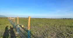Prime 50*100 plots for sale in ruiru East Kamakis