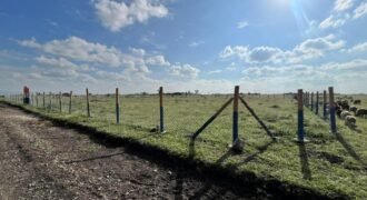 Prime 50*100 plots for sale in ruiru East Kamakis