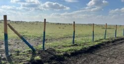 Prime 50*100 plots for sale in ruiru East Kamakis