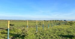 Prime 50*100 plots for sale in ruiru East Kamakis