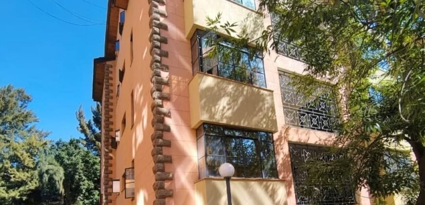 Spacious Modern 3bedroom apartment for Rent