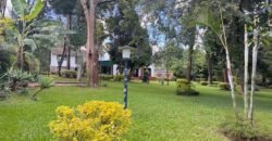 Magnificent 7 bedrooms with 2sqs house