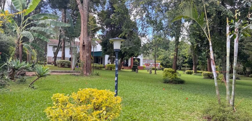 Magnificent 7 bedrooms with 2sqs house