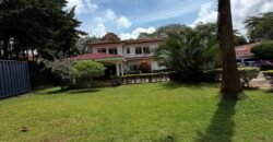 GIGIRI, OFF UN AVENUE FOR RENT