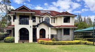 4 Bedroom house for Rent plus DSQ for 2
