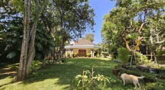 HOUSE TO LET IN LORESHO