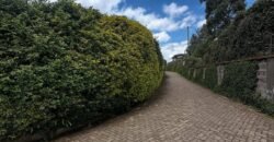 PLOT FOR SALE