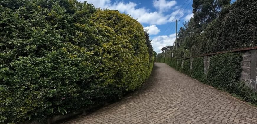 PLOT FOR SALE