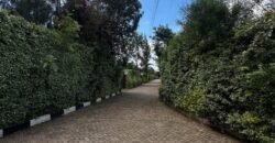 PLOT FOR SALE