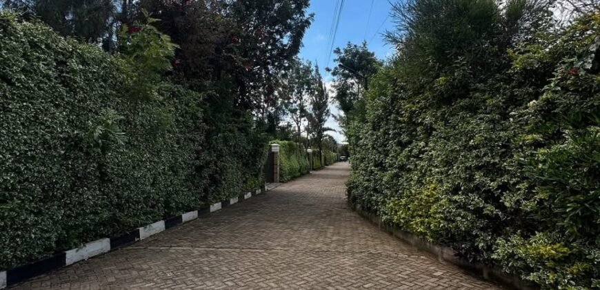 PLOT FOR SALE
