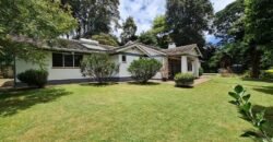 BUNGALOW FOR RENT IN LORESHO