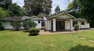 BUNGALOW FOR RENT IN LORESHO