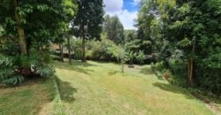 BUNGALOW FOR RENT IN LORESHO