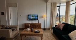 APARTMENT TO LET IN WESTLANDS