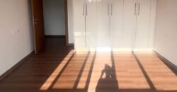 APARTMENT TO LET IN HURLIGHAM,KILIMANI