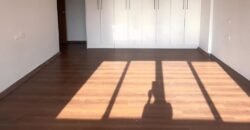 APARTMENT TO LET IN HURLIGHAM,KILIMANI