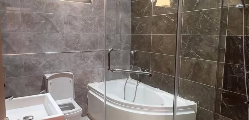 APARTMENT TO LET IN HURLIGHAM,KILIMANI