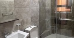 APARTMENT TO LET IN HURLIGHAM,KILIMANI
