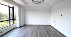 APARTMENT TO LET IN KILELESHWA
