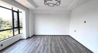 APARTMENT TO LET IN KILELESHWA
