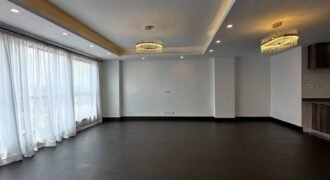 APARTMENT TO LET IN KILIMANI