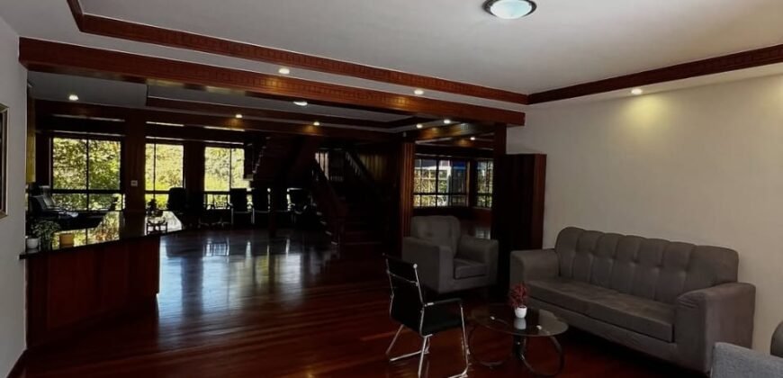 COMMERCIAL PROPERTY TO LET