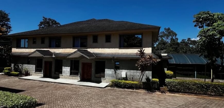 COMMERCIAL PROPERTY TO LET