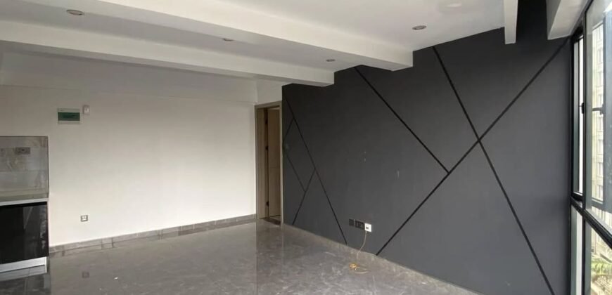 APARTMENT TO LET IN KILELESHWA