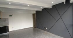 APARTMENT TO LET IN KILELESHWA