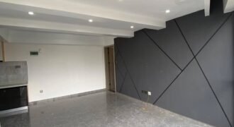 APARTMENT TO LET IN KILELESHWA