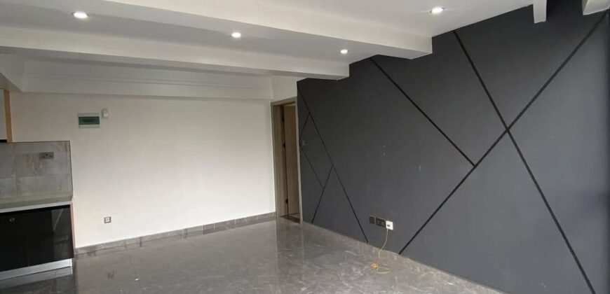 APARTMENT TO LET IN KILELESHWA