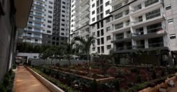APARTMENT TO LET IN KILIMANI