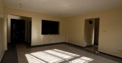 APARTMENT TO LET IN NAIVASHA ROAD