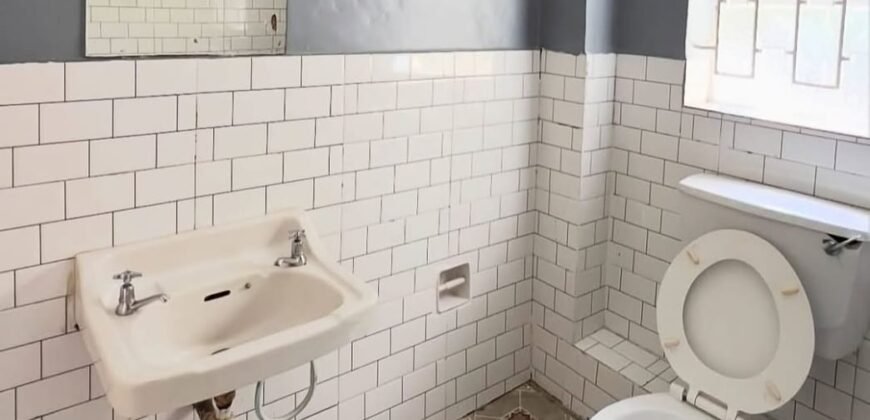 APARTMENT TO LET IN LAVINGTON