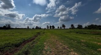 LAND FOR SALE IN RUNDA