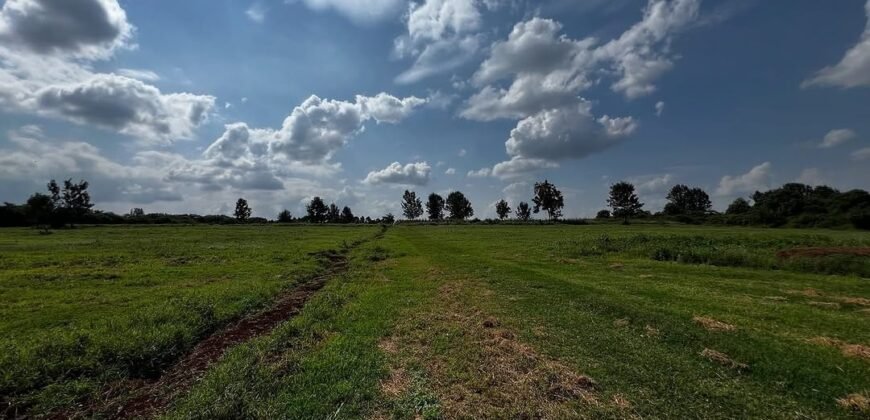 LAND FOR SALE IN RUNDA