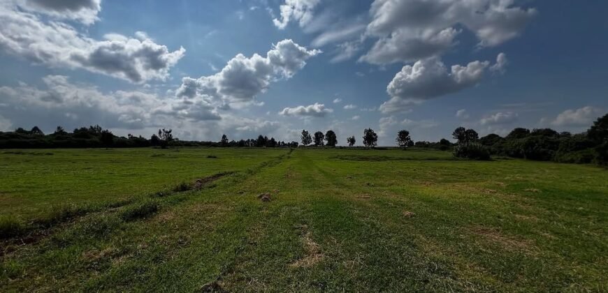 LAND FOR SALE IN RUNDA