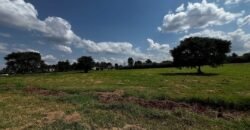 LAND FOR SALE IN RUNDA