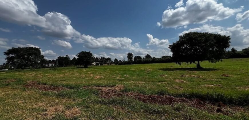 LAND FOR SALE IN RUNDA