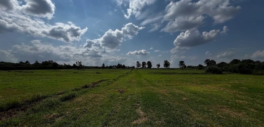 LAND FOR SALE IN RUNDA