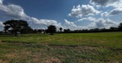 LAND FOR SALE IN RUNDA