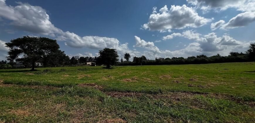 LAND FOR SALE IN RUNDA