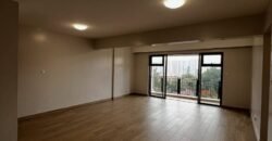APARTMENT TO LET IN KILIMANI