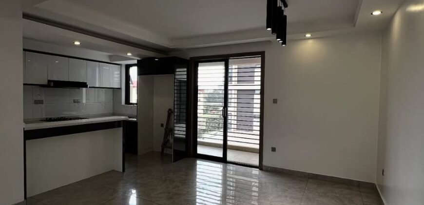 APARTMENT TO LET IN KILIMANI