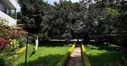 APARTMENT TO LET IN KILIMANI