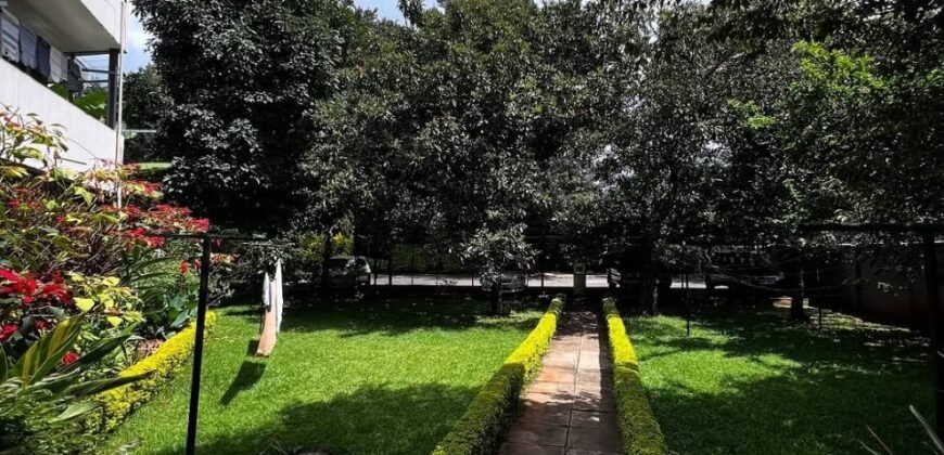 APARTMENT TO LET IN KILIMANI