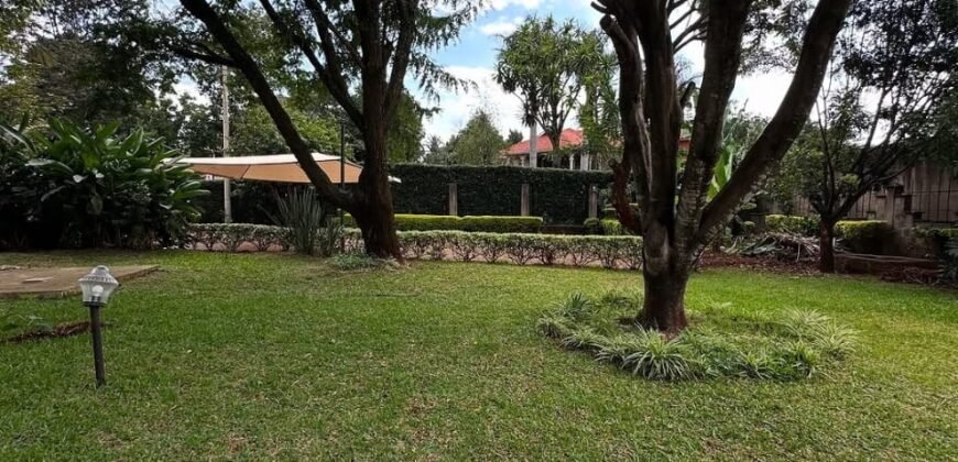 HOUSE TO LET IN RUNDA