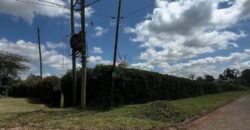 HALF-ACRE PLOT FOR SALE IN KAREN