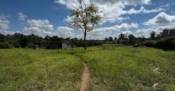 HALF-ACRE PLOT FOR SALE IN KAREN
